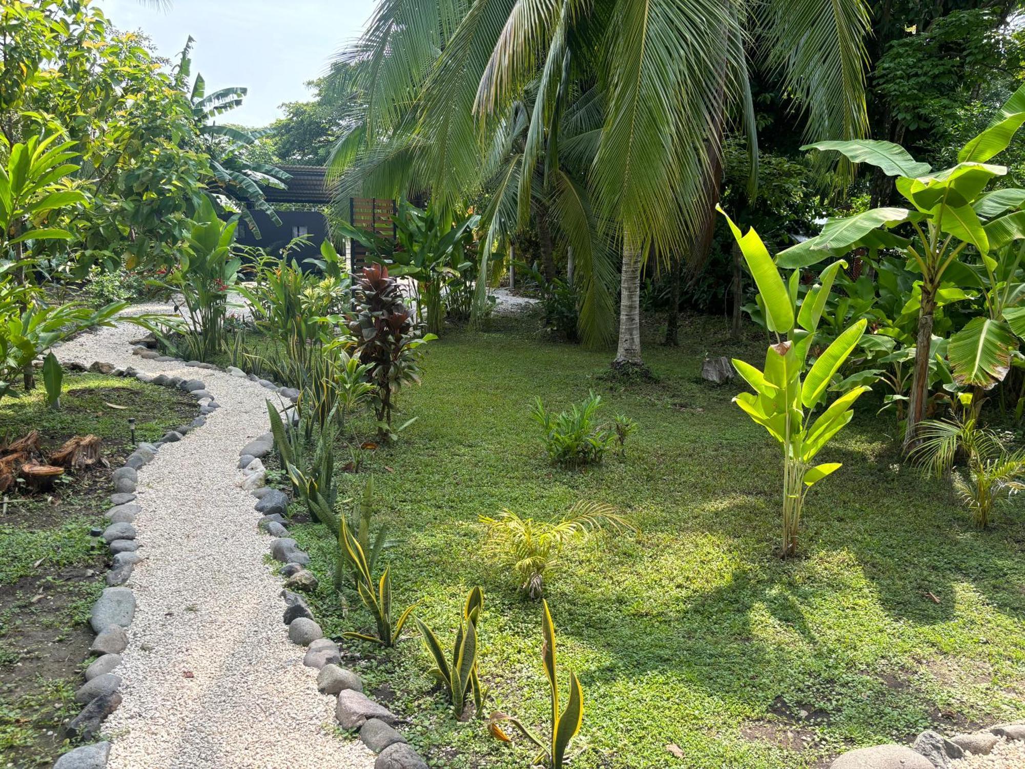 Ds House Hotel Cabuya  Bagian luar foto