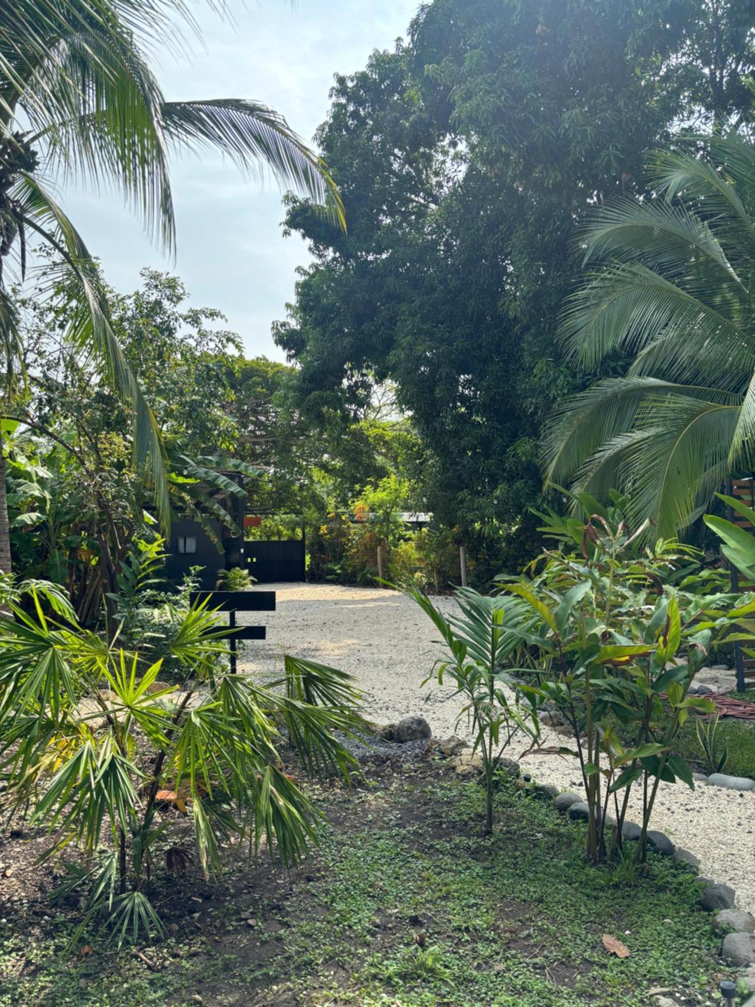 Ds House Hotel Cabuya  Bagian luar foto
