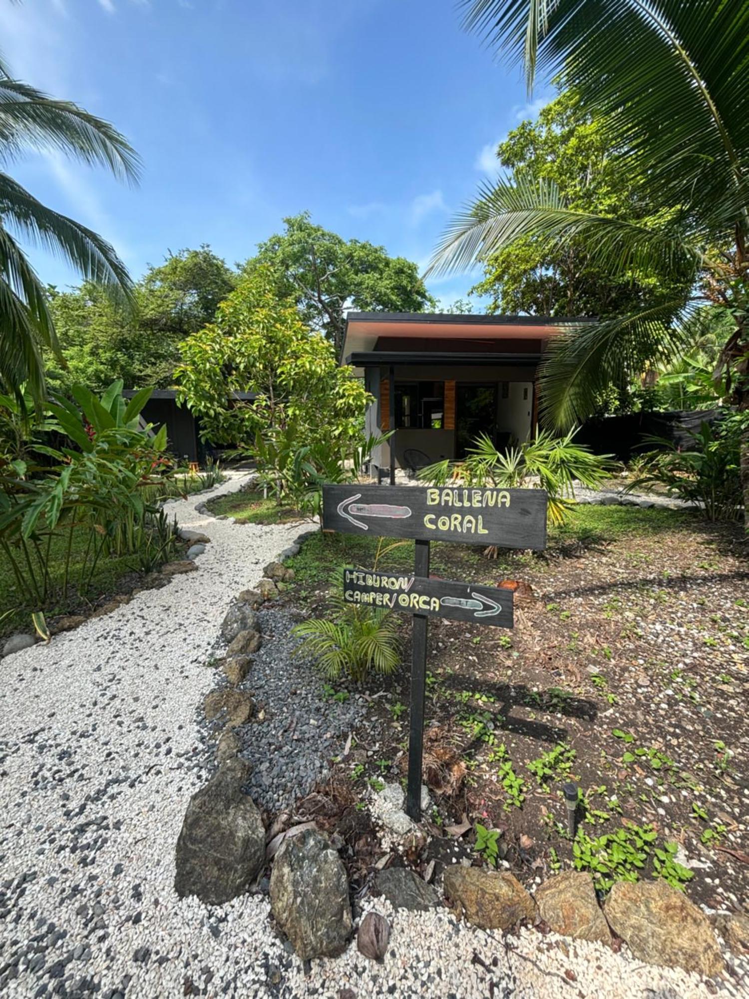 Ds House Hotel Cabuya  Bagian luar foto